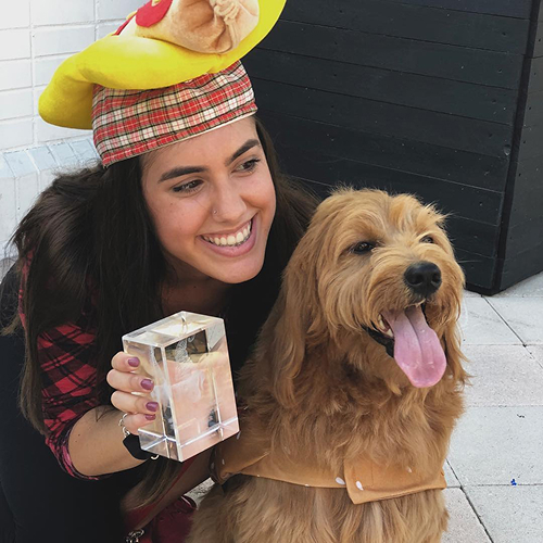 Dog Friendly item 6